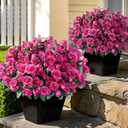 8 Bundles Artificial Rose for Front Door Outdoor Decor, Realistic Fake Silk Bouquets Flowers Faux UV Resistant Real Looking Rose Plants for Garden Balcony Farmhouse Home Spring Summer Decor (Rose Red)