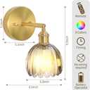 Battery-Operated Vintage Tulip Wall Sconce, RGBWCCT Rechargeable Bulb with 9 Colors, Tulip Smoke-Grey Glass and Brass Metal Frame, 90 Swivel Head, for Living Room Bedroom Hallway