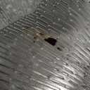 Snowkingdom Silver Placemats Set of 18, 15 Inch Round Metallic Hollow Vinyl Place Mats, Washable Wipeable Non Slip Kitchen Dining Table Mats for Christmas Thanksgiving Holiday Wedding Party Decoration