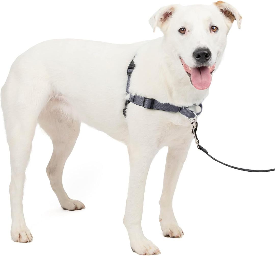PetSafe Easy Walk Deluxe Dog Harness, No Pull Dog Harness  Perfect for Leash & Harness Training  Stops Pets from Pulling and Choking on Walks  Medium/Large, Steel PetSafe Easy Walk Deluxe Dog Harness, No Pull Dog Harness  Perfect for Leash & Harness Training  Stops Pets from Pulling and Choking on Walks  Medium/Large, Steel