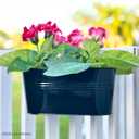 LaLaGreen 11.8 Inch Rail Planter (8-PIECE Combo Set) Black Metal Railing Fence Hanging Planters for Outdoor Plants, Modern Balcony Gardening for Apartment Garden Style Iron Patio Flower Pot Deck
