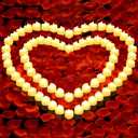 FloraSea 6000 PCS Artificial Rose Petals with 72 PCS Flameless LED Tea Lights Candles Decoration for Special and Romantic Night, Wedding Anniversary, Event, Party Decoration