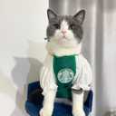 RUTNPO Pet Cat & Dog Clothes - Funny Costume, Soft & Breathable (Medium)