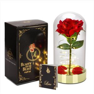 HOMESEASONS Pre Lit Rose for Her - Valentine's Day, Anniversary, Birthday, Christmas, Red