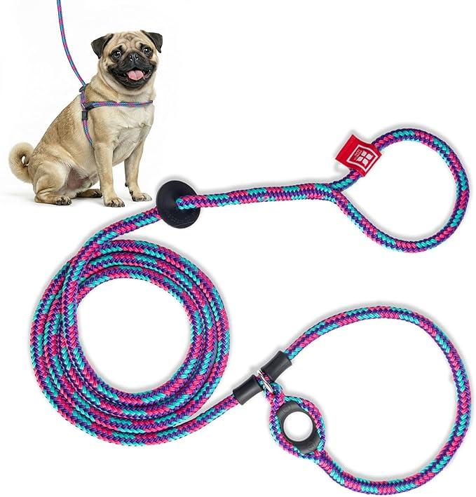 Harness Lead No Pull Dog Harness and Leash Set, Anti Pull Dog Harness, One-Piece Cushioned Rope Safely Prevents Escaping and Pulling (Small/Medium, Reef) (Reef (Purple/Raspberry/Turquoise))