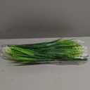 Artificial Fake Outdoor Plants Flowers for Summer Decoration,10 Bundles Faux Plastic Tall Monkey Grass Greenery UV Resistant Realistic for Home Outside Planter Window Porch Patio Garden-White