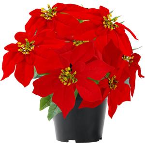 Poinsettia Plants Artificial 9 Heads 14 Inch Fake Poinsettias Christmas Flowers in Pot for Home Porch Office Indoor Outdoor Christmas Winter Decorations Red (1PC)