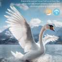BPC Goose Feather Down Fiber Comforter Queen Size – 100% Organic Cotton Cover, 750 Fill Power Extra Fluffy All Season Duvet Insert, Medium Warmth (90"x90", White)