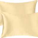 2 Pack 12x20 Pillow Cover Velvet Pillow Covers, Square Throw Pillow Covers for Living Room Decorations Throw Pillow Case, Throw Pillow Cover Cushion Cover for Home Sofa Bedroom Car, Champagne