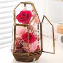 Valentines Day Flowers Gifts for Women,Forever Real Preserved Roses in Glass Dome,Valentines Day Roses Gifts for Her Wife Women Best FriendPink