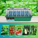 Seed Starter Tray with Timed Grow Light, 2 Pack 80 Cells Plant Starter Tray Seedling Starter Kit with Humidity Domes Base Indoor Mini Greenhouse Plant Germination Trays for Seeds Growing Starting