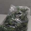 Cedar Christmas Garland with Lights for Mantle - Decorations 6 ft Realistic Lighted Faux Pine Garlands for Xmas Home Decoration Indoor Stairs Railing Fireplace Outdoor 6ft Prelit Garland Door Decor