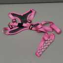 Eagloo Small Dog Harness and Leash Set, Step in Puppy Vest with Breathable Soft Mesh, Walking Reflective Pet Harness for Medium Small Dogs, Pink, M (M(Chest:16.0"-18.5"))