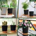 4 inch Small Plant Pots for Outdoor Indoor Plants, 5 Pack Planters with Drainage Holes and Tray, Small Self Watering Pots for Succulent,Cactus, Aloe and Other Plants (Black)
