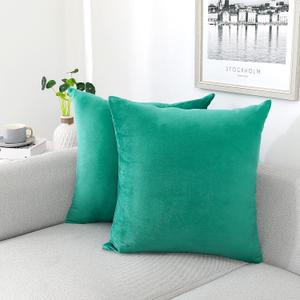 NiNi ALL Decorative Throw Pillow Covers Velvet Soft for Couch Sofa Bedroom Living Room Outdoor Pack of 2 20x20 Inch Aqua Green