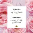 Pantene Rose Water Conditioner, Soothes, Replenishes Hydration, Safe for Color Treated Hair, Nutrient Infused with Vitamin B5 and Antioxidants, Pro-V Blends, 30.0 oz (30 Fl Oz (Pack of 1))