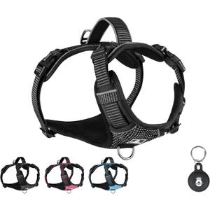 No Pull Dog Harness for Small Dogs – Soft Padded Reflective Oxford Vest, 2 Leash Clips, Adjustable Lightweight Fit, Black (S, Black)