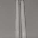 Pack of 2 LiBa Bug Zapper Replacement Bulb Light Tube 10W for 20W Electronic Bug Zapper, T8 UV Lamp Bulbs for Indoor Outdoor Mosquito Zapper Lamp , Fit LiBa Bug Zapper Indoor