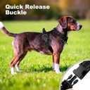 No Pull Dog Harness with Handle, Soft Mesh Padded Adjustable for Small Medium Large Dogs | Reflective Easy Walk Harness with Front Clip for Training, Running & Outdoor (Black, M)