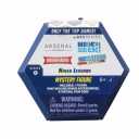 Roblox DevSeries Series 1 Mystery Pack [1 RANDOM Mini Figure]