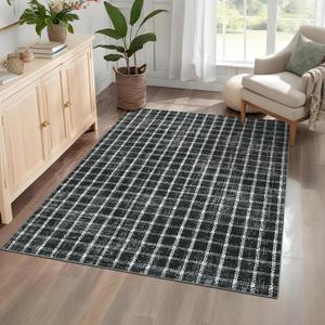 3x5 Area Rug Washable Non-Slip Low-Pile - Checkered Braided Geometric Print for Bedroom Living Room Kitchen Bathroom Entryway Indoor Black