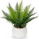 DILATATA Faux Plant Indoor in Ceramic Pot 12" Artificial Potted Fern Fake House Plants for Desk Office Bathroom Garden Decoration - White
