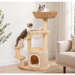 Ainpota Solid Wood Cat Tree for Kitten & Munchkin, Modern Cat Tower with Low-Rise Steps, Indoor Multi-Level Aesthetic Boho Cat Furniture with Space Capsule, Condo, Hand-Woven Bed,for Minuet & Napoleon
