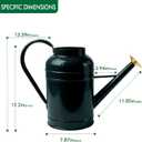 2.3-Gallon Metal Watering Can,8.7L Galvanized Watering Can for Outdoor Plants with Removable Long Golden Spout