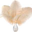 Ballinger Light Salmon Ostrich Feathers - 24 pcs 10-12 inch Feathers for vases Wedding Party Centerpieces and Home Decor