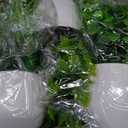 Yoratee Artificial Plant 6PCS Small Fake Plant Greenery Potted Plant Cute Indoor Faux Plant Houes Office Table Desk Bathroom Decor Plants