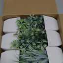 Der Rose Pack of 6 Fake Plants Small Artificial Plants Faux Plants Indoor for Home Bathroom Bedroom Living Room Classroom Decor (Grey)