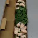 GLSATEMAN Artificial Silk Flowers Ranunculus Fake Flower 5 Pcs,Suitable for Core Decorations,Weddings,Homes,Artistic Decorations and Props (Cream Yellow)