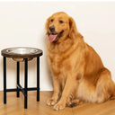 Yangbaga Extra High Elevated Dog Feeder, Raised Food & Water Station with Durable Metal Legs, 13 Cup Stainless Steel Bowl