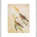 8x10 Picture Frame, Silver Modern Aluminum Metal Photo Frame with HD Glass, Fits 5x7 with Mat or 8 x 10 without Mat, for Tabletop and Wall Mounting, 1 Pack