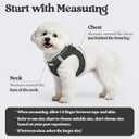 rabbitgoo Dog Harness Small Sized and Leash Set, Step in Soft Light Puppy Vest, Breathable Mesh Pet Harness, Reflective for Outdoor Safe Walking, Black XL