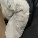 OhGeni Orthopedic Waterproof & Machine Washable Dog Bed for Small Medium Pets, Suitable for Crates, Cat Mat with 25D Egg Crate Foam, Removable Cover, 30 Inches(Brown)