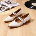 Mary Jane Shoes Women Chunky Low Heels Buckle Strap Pumps Womens Closed Pointed Toe Ballet Flats Causal Daily Dress Shoes