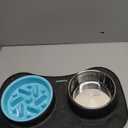 Slow Feeder Dog Bowls 3 in 1 Stainless Steel Food and Water Bowls with Non-Spill and Skid Silicone Mat to Slow Down Eating for Large Medium Small Breed Size Dogs and Cats (Dark Grey)