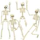 3FT Skeleton Halloween Decorations, Full Body Posable Halloween Skeleton with Movable Joints, 36" Plastic Skeleton with 1PCS Black Crow for Indoor Outdoor Haunted House Prop Decor