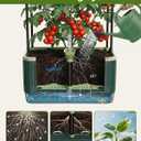 2 PackTomato Planter with Trellis, Self Watering Planter Box with Trellis, Vertical Raised Garden Bed Planter for Climbing Vegetables Indoor Outdoor Patio
