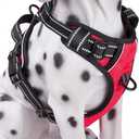 PoyPet No Pull Dog Harness, Reflective Comfortable Vest Harness with Front & Back 2 Leash Attachments and Easy Control Handle Adjustable Soft Padded Pet Vest for Small to Large Dogs (Red,M) (Medium)