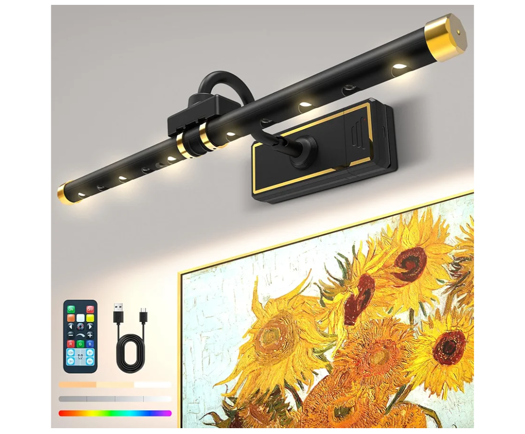 Laliled Picture Light, Rechargeable Battery Operated Painting Light with Remote, Dimmable Art Light for Paintings, Wireless Picture Light for Wall with Timer (Black)