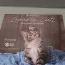 Turner Licensing, Rachael Hale Loveable Cats 2026 Wall Calendar