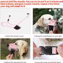 HEELE Dog Muzzle,Soft Nylon Muzzle Anti Biting Barking Chewing,Air Mesh Breathable Drinkable Adjustable Loop Pets Muzzle for Small Medium Large Dogs 4 Colors 4 Sizes (P-Pink Flower, L)