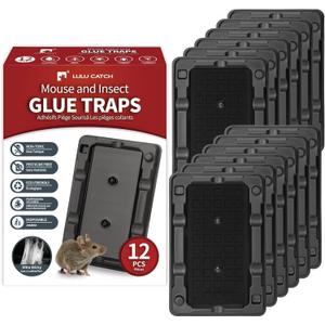 LULUCATCH Mouse & Insect Traps 12 Pack, Heavier Sticky Traps with Non-Toxic Glue for Small Mice & Insects. Sticky Mouse Traps Indoor for Home, Easy to Set