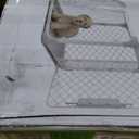DIGGS Evolv Dog Crate - Slim, Durable Dog Kennel with Removable Ceiling Panel and Modular Design - Safe, Stylish, and Convenient (Ash, Intermediate)