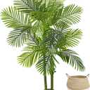 Warmplants Artificial Palm Tree, 5ft Golden Cane Faux Palm Plant with Basket, Large Phoenix Palm UV Resistant Fake Plants for Indoor Outdoor Home Garden Patio Office Dcor