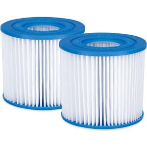 Type D Filter Cartridge 2-Pack, for Above Ground Pool Filter Pumps
