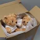 40 Pcs Make Your Own Stuffed Animal Bear Kit DIY Easter Plush Gift 10 Pcs 9.84 Inches Rose Velvet Bear 10 White T Shirt 10 Set 12 Color Pen and Card for Easter Party DIY Craft Gift(Brown)