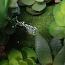 8inch Artificial Succulent Plants in Pots,Large Fake Succulents with Black Ceramic Pot for Home Office Desk Bathroom Coffee Table Decor